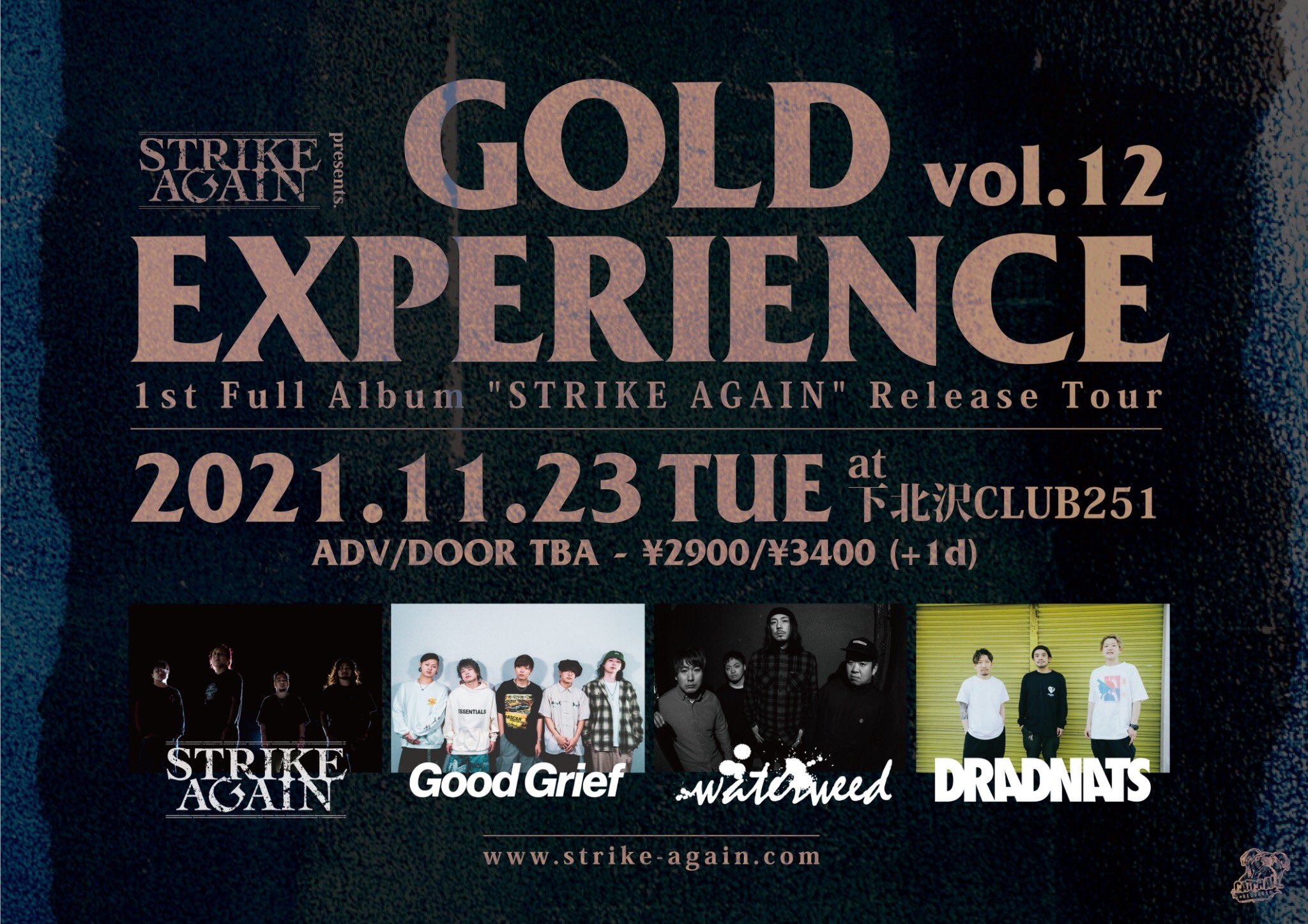 STRIKE AGAIN pre. 【GOLD EXPERIENCE vol.12】