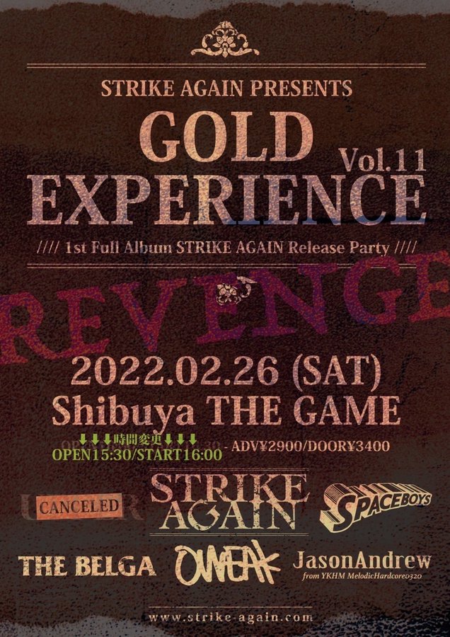 GOLD EXPERIENCE vol.11