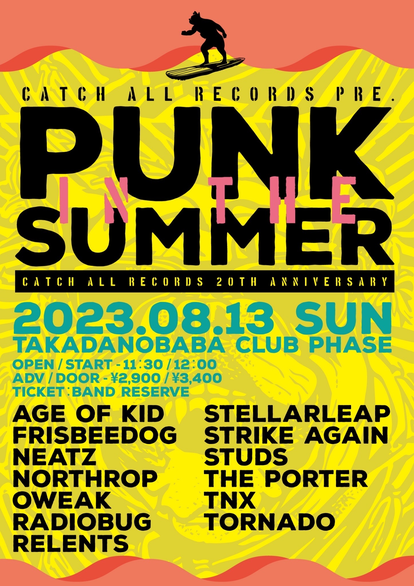 PUNK IN THE SUMMER