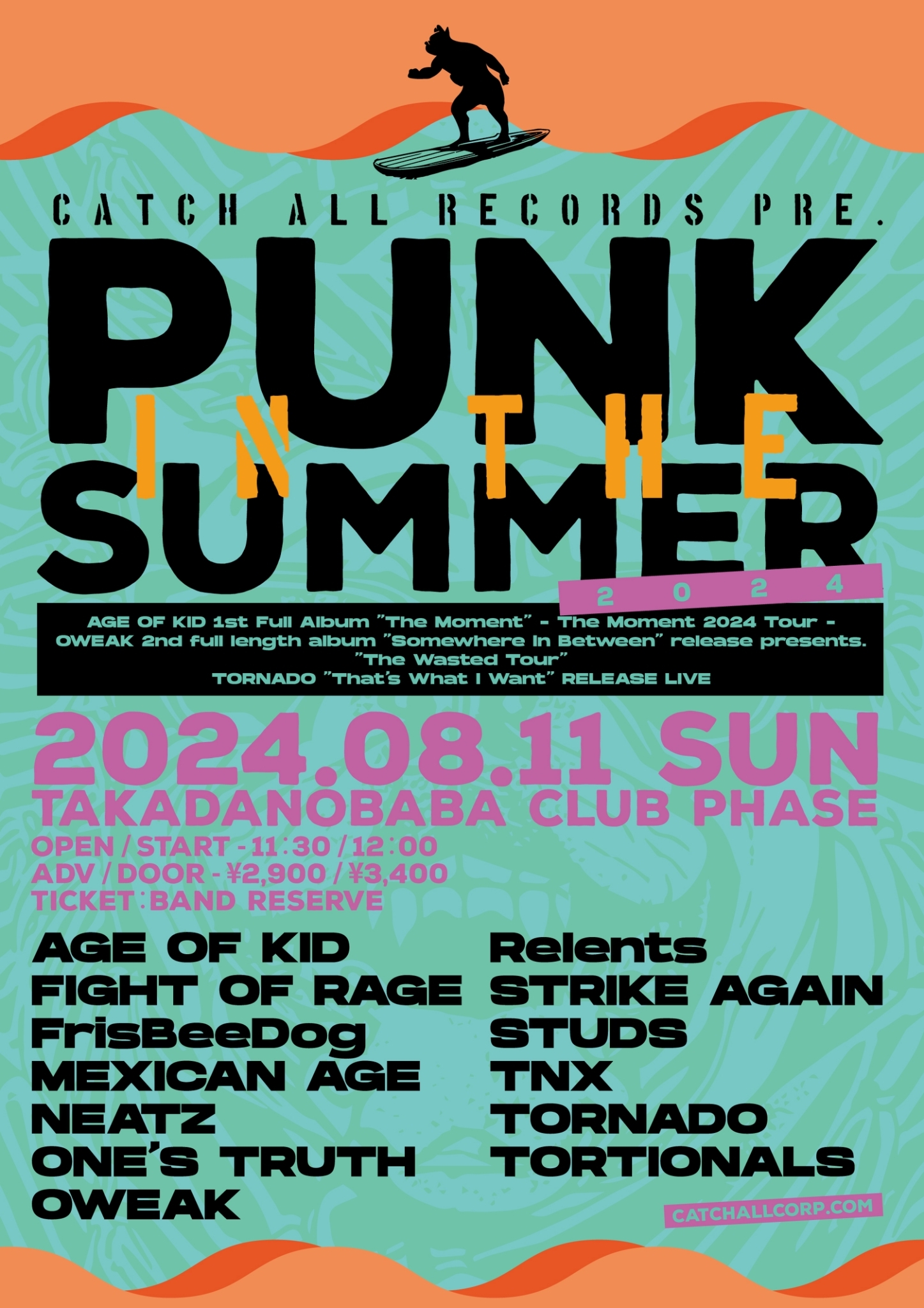 PUNK IN THE SUMMER 2024